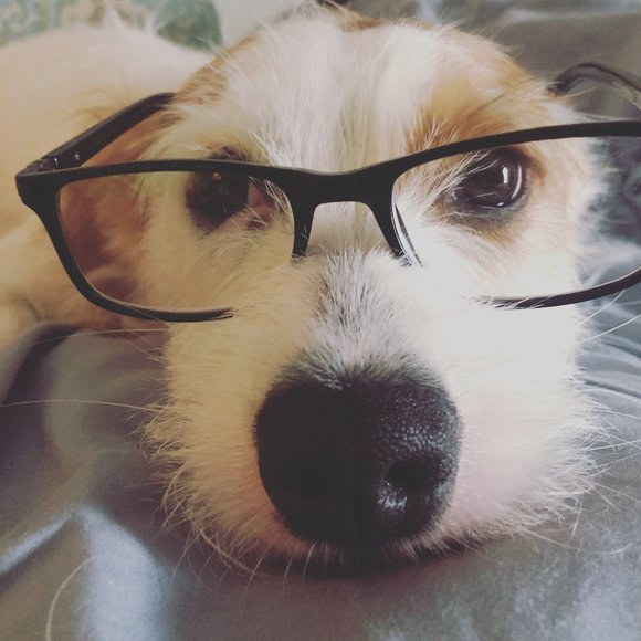 Meet your Posher, Tracy - Picture 2 of 16